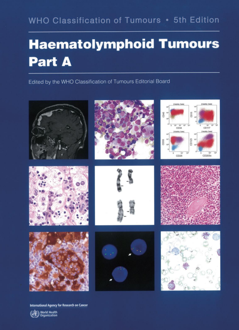 微信图片 2026 01 20 142154 964 dc715