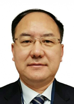 谢安木